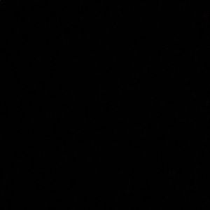 Meet your Posher, Noah